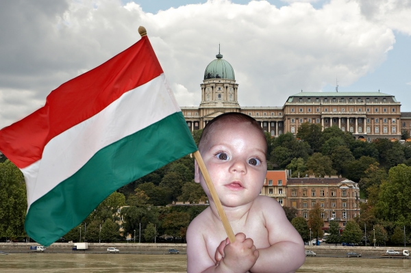 Creation of baby turist: Step 3